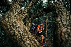 BIB: 
                            <button type="button" onclick="openModal(25393493)" class="btn btn-primary btn-sm float-right btn-popup" data-toggle="modal" data-target=".modal-high-quality">
                        <i class="fas fa-shopping-cart"></i> Add to Cart
                    </button>
                                            <button type="button" onclick="isThisMe(25393493, true)" class="btn btn-success btn-sm float-right btn-popup btn-isme hidden" data-toggle="tooltip" data-placement="bottom" title="นี่คือรูปของคุณใช่ไหม คลิกที่นี่เพื่อเอาเข้าอัลบั้ม">
                        <i class="fas fa-plus"></i> Add to album
                    </button>
                    <button type="button" onclick="isThisMe(25393493, false)" class="btn btn-warning btn-sm float-right btn-popup btn-isnotme hidden">
                        <i class="fas fa-ban"></i> Remove from album
                    </button>